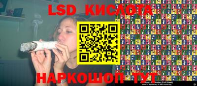 молекула духа Камышлов