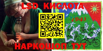 молекула духа Камышлов