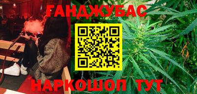 молекула духа Камышлов
