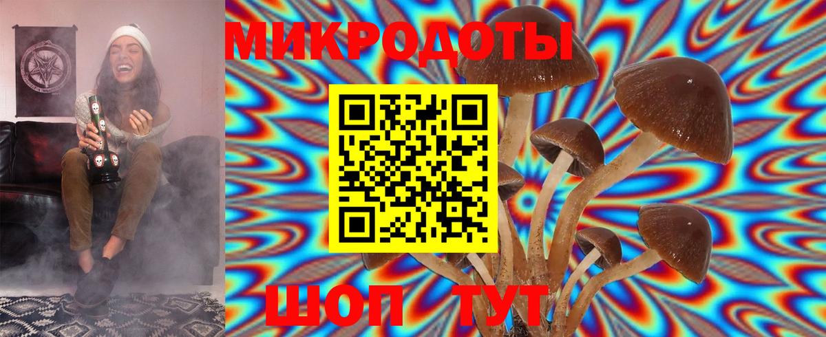 Галлюциногенные грибы прущие грибы  Псилоцибиновые грибы мухоморы  Вход с VPN  Михайловск 